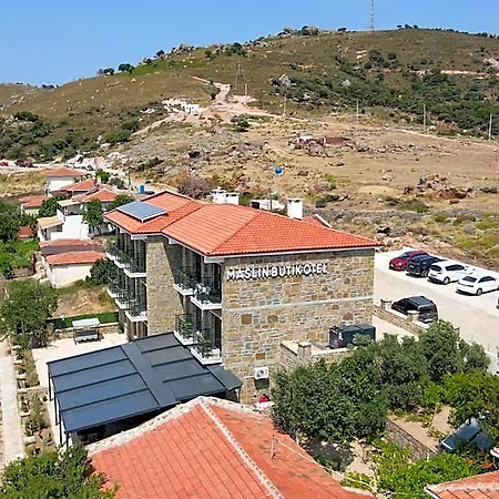Hotell Maslin 3*